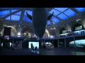 American Museum of Natural History