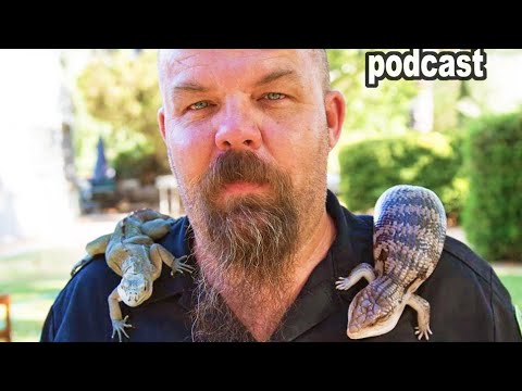 YouTube reptile video