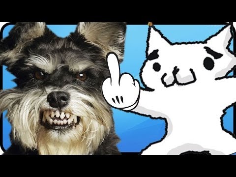 how to download cat mario
