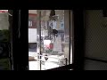 Emily’s Pork Store: 41 Years in Brooklyn