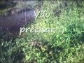 Reconhecimento da 