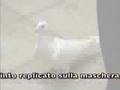 Ferdinando Pinto - I Cloni