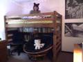 Request: Bunk bed