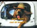 dog dream for mba.mpg