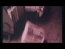 Todos los miércoles son miércoles de documental!