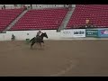 NBHA Las Vegas Super Show 2009