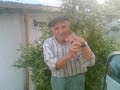YERLİCE İLA CAT KÖYÜNÜN CEVET YAYLASİNDA ŞENLİGİ
