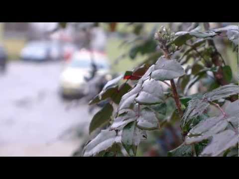 Sony NEX-6 sample video