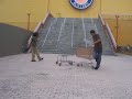 cart-carsh-2.html