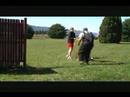 Andy Schutzhund (Civil)