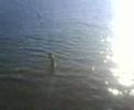 sinop-hamsilostayz.html