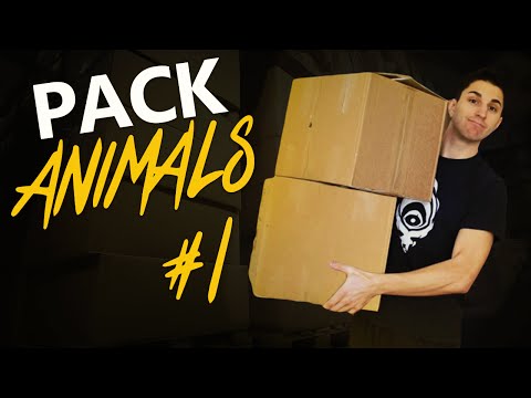 SPACCHETTIAMO CON STILE! - PACK ANIMALS