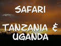 Safari - East African Safari