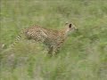East African Safaris (2004) East African Safaris (2004)