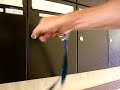 Briefkasten: Heuschnupfen