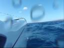 videos de Fuerteventura Catsailing