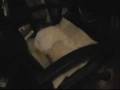 videos de A New Cat Video: Wheelie Chair Stealer