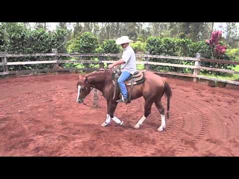 how to properly neck rein a horse