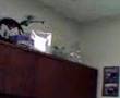 Micro Heli