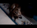 CLIP0056