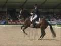 videos de Horses in Disturbia!