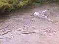 videos de raliii