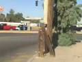 videos de Mexicali Te Queremos, Recorrido por Ruta 1