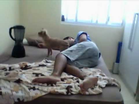 طيز اختي