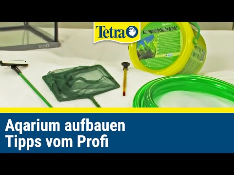 Aquarium einrichten I Tipps vom Profi!