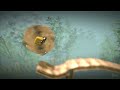 Little Big Planet: Rollercoaster Little Big Planet: Rollercoaster