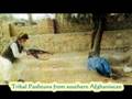 Pashtun-political-sy