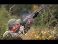 Benelli's Cordoba