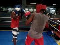 + BOXE 2009 - Luvas