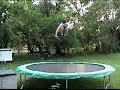 Fun times on the trampoline, with and without a board. I also used slow, reverse, and fast forward to makes scenes look tripy cool.