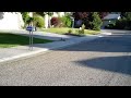 Click here to watch this video Mama mallard duck and ducklings leaving their nest! HD close-up footage is CUTE!!