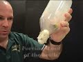 Egg in a Bottle Egg in a Bottle