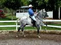 Paso Espa�ol, Spanish Walk