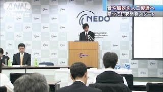 再生医療技術で世界をリードへ 技術開発P立ち上げ