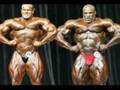 Highlights-Mr-Olympi