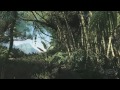 Watch 'טריילר משחק יריות Far Cry 3 - סרטון וידאו'