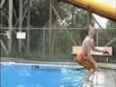 caidas estupidas