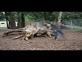 Adrenaline Adrenaline
