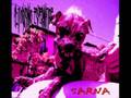 Clitogusano Espermatide-Sarna