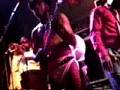 Bootsy, Maceo, Fred, Kush, Mudbone, Starchile, KidFunkadelic