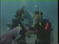Scuba Diving on the Great Barrier Reef - August 2002