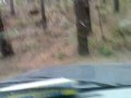Woodhill Patrol - Through the trees