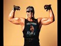 Hollywood Hogan - Theme