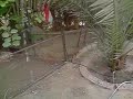 hani lg ku990 120fps