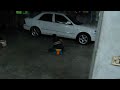 真人版跑跑卡丁車!!