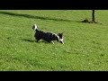 Suki und Coco